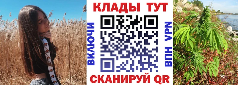 Магазины продажи наркотиков Чудово ГАШ  АМФ  МЕФ  Конопля  Псилоцибиновые грибы  КОКАИН 