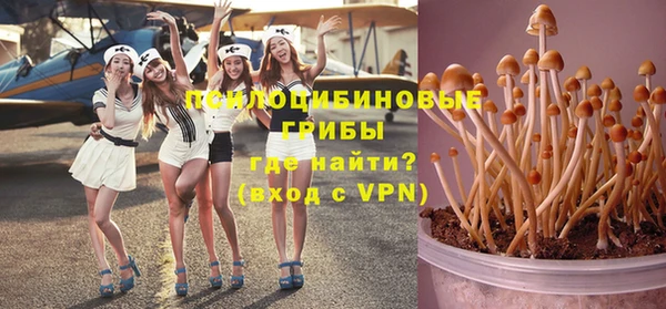 первитин Богородицк