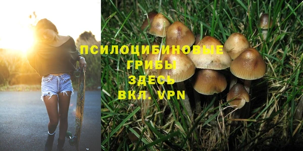 не бодяженный Богородск