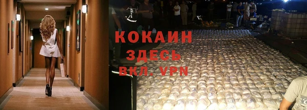 первитин Богородицк