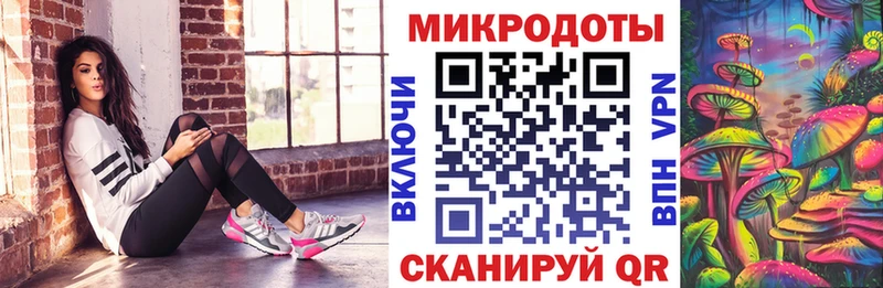 Псилоцибиновые грибы Psilocybe маркетплейс какой сайт Чудово